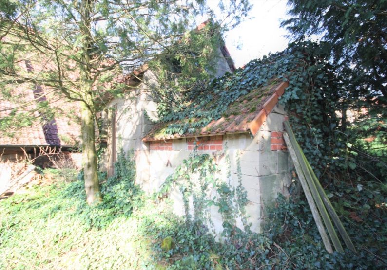 Backhaus
