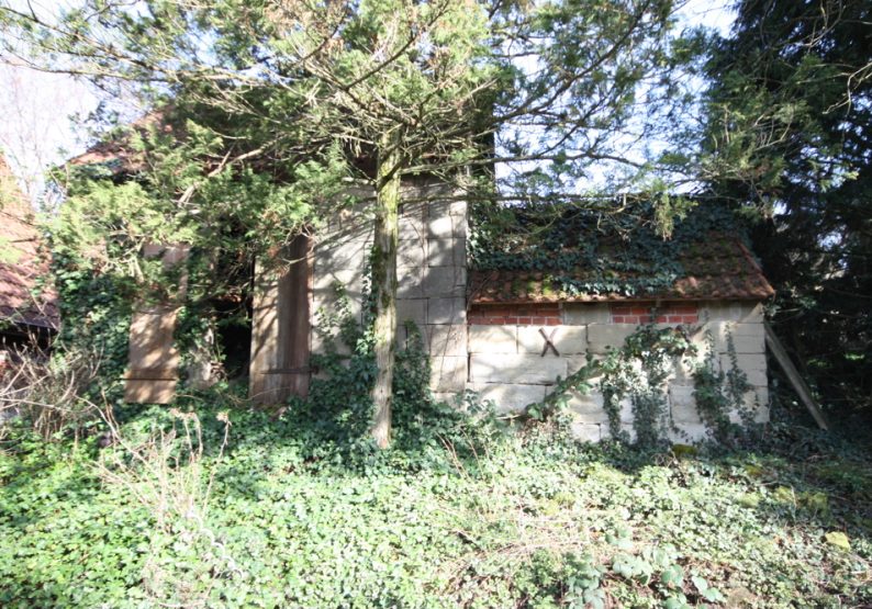 Backhaus