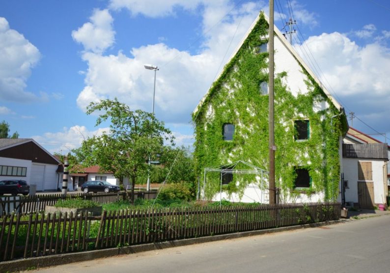 Hausansicht-2